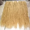 Färg 613 Blek blond brasilianskt hår 500g Applicera tejphäftande hudväfthår 200PCS Brasiliansk Kinky Curly Tape In Human Hair Extensions