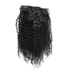 clip in afro hair extension 100g 7pcs/Lot african american clip in human hair extensions
