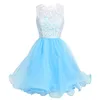 Cheap Homecoming Dresses Lace Top Light Blue Organza Skirt Jewel Neck Sleeveless Short Prom Party Gowns Made to Order High Quality