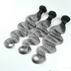 1BGrey Brésilien Ombre Bundles De Cheveux Humains Avec Fermeture En Dentelle Gris Argent Deux Tons Colorés Armure De Cheveux Avec Fermeture Corps Ondulé 4PcsL5871898