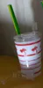 Starbuck 2020 Cup Dabuccino Glas Bong Coconut Tree Maple Leaf Starbuck Cups Glas Bong Vattenrör med Oljeplattform Hög Teech Vaxolja Tree Cup