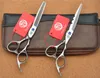 501 # 5.5 inch zilverachtige kappersschaar JP 440C 62HRC Home Salon Snijden Schaar Dunning Shears Hair Scissors