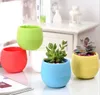 Groothandel 50 stks MOQ Kleurrijke Mini Flower Pots Afneembare Watering Bloempot voor sappige tuin onbreekbare plastic kwekerijpotten