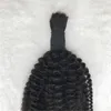 Bulks Indian Kinky Curly Bulk Hair Extensions Natural Black Color Human Hair No Weft for Braiding FDshine