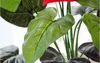 Tolle 18 Köpfe künstliche Blume, kleine Topfpflanze, Seidenanzug, großer Topf, Anthurium, Büro, Haus, Garten, Dekoration, Bonsai, Großhandel