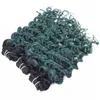 Ombre mänskliga hårbuntar Deep Wave Green Two Tone Colored Deep Curly Hair Weft Brasiliansk Virgin Hair Weave6150764