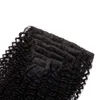Clipe em extensões de cabelo humano Natural Cabelo 100g 7 pçs / lote afro kinky curly clip