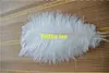 FREE SHIPPING 100 pcs/lot 16-18inch(35-40cm) white Ostrich Feather plumes for wedding centerpiece wedding party event decor festive decor