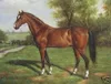 Dipinto ad olio di arte classica di alta qualità di alta qualità sulla qualità del museo di tela, cavallo, in multi formato scelto