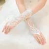 Bridal Gloves Fingerless Ivory Lace Glove Bridal Accessories Beaded Wedding Gloves White Lace bride gloves fashion wedding accesso279T