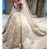 2017 Luxury Ball Gown Wedding Dresses Dubai Deep Lace Vneck Lace Applique Bridal Dresses Middle East Style3661370