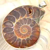 En gros 10 Pièces 1LOT Nouvelle Arrivée Ammonite Naturelle Fossile Gem 925 Sterling Silver USA Israël Mariage Fiançailles Pendentifs Bijoux De Fête