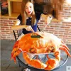 Dorimytrader Cute Realistic Simulated Crabs Plush Pillow Giant Stuffed Animals Toy Doll Seafood Decoration Gifts 58cm x 60cm DY61644