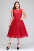 Plus Real Image Size Red Short Tail Tulle Lace Beaded Knee Length A Line Formal Party Evening Dresses CPS