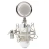 Microfono a condensatore professionale per registrazione da studio audio con supporto per spina da 3,5 mm