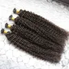 Mongolian kinky curly hair 200g Human Fusion Hair Nail U Tip 100% Remy Human Hair Extensions 200s afro kinky curly keratin stick tip