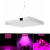 led grow light new