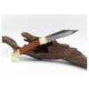 Usine directe de haute qualité Ghillie lame pliante couteaux à fruits bois + tête de cuivre poignée couteau Mini EDC poche couteaux de survie