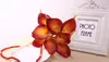 50pcs MOQ toque real Lily Simulação flor do casamento Bouquets Artificial Calla Lily para nupcial e Decoração (sem vaso)