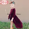 paarse babymeisjes jurken