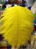 Wholesale!100 pcs a lot 20-22 inch/50-55 cm Ostrich Feather Plume for Wedding Centerpieces table decoration 10 kinds of color can choose