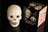 Halloween Night Lights 3D Skull Pumpkin RGB 7 colori che cambiano Luce d'atmosfera a batteria