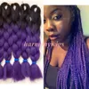 Ombre Synthetic Braiding Hair Crochet Braids 24inch 100g Ombre Two Tone Jumbo Braids Hair Extensions More Colors1590152