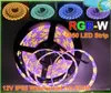 50M RGBW RGBWW LED Strip Light Waterproof DC12V SMD 5050 5M roll IP65 60Leds M 300 LEDS Flexible Bar Light