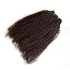 Clip bouclé birman perplexe dans les extensions de cheveux humains pour afro-américain 7 PCSset 120g GEASY1481216