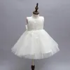 Branco Primeira Comunhão Vestidos Para Meninas 2016 Marca de Renda de Tule Infantil Criança Pageant Flower Girl Dress para Casamentos e Aniversário