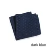 Men039S näsduk Handy Pocket Square Pocket Handdukar Dot Strip Accessories Tryckt handduk Handduk Handduk 10pcs1588787