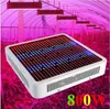 800W Volledige Spectrum LED Grow Lights Hydroponics LED Grow Light Red / Blue / White / UV / IR AC85 ~ 265V SMD5730 LED-plantenlampen