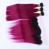 Brasilianska Human Virgin Hair Fuschia Ombre Hårbuntar Med Snörning Frontlåsning 4st / Många Lila Peruvian Virgin Hair With Frontal Closure