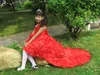 Vestidos de niña de flores Vestidos de desfile de cola de gasa roja Vestidos de verano para niña para bodas Vestido de fiesta de cumpleaños con lazo grande 2-12 años