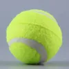 Intero NUOVO arrivo 2016 NUOVO arrivo Nuovo Pet Dog Palla da tennis Petsport Lanciatore Chucker Launcher Gioca Toy4885825