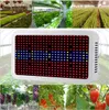 LED Işıkları Büyümek Tam Spektrum 400 W Çadır Bitkiler İçin Kapalı Bitki Lambası Büyümek Sebze Hidroponik Sistemi Büyümek / Bloom Çiçeklenme ve Büyüme