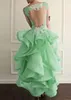 Tulle & Organza Sheer Jewel Neckline Hi-lo A-line Prom Dresses With Lace Appliques Ruffled Organza Evening Gowns Illusion Back