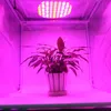 45W rödblå vit orange LED-växt växa ljus 225 SMD 2835 LED inomhus hydroponics blomma vegetabilisk ultratin växt tillväxt lampan