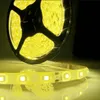 5m lot 3528 SMD RGB 12V Waterproof Non-waterproof Led flexible strips light 300 Leds double side good quality