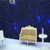 LED-Stern-Vorhang, 3 x 6 m, Hochzeitshintergrund, Bühnenhintergrund, Tuch mit Multi-Controller-DMX-Funktion, 217 K