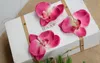 25 sztuk Silk Butterfly Orchidee Sztuczne Kwiaty Głowy Orchidea Układy na ślub Car Home Decoration Mariage Flores Cymbidium Kwiaty