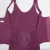 Großhandels-Sommer-Magnetkorsett-Shapewear-Unterwäsche-Taillen-Trainings-Korsett-Bodysuit-Frauen-Gürtel-Körper-Former