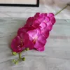 New Arrival Silk Single Stem Spring Series Orchid Artificial Orchids Phalaenopsis for Wedding Centerpiece 5 Colors