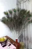 100 Stück hochwertige Pfauenfedern, 70–80 cm, 28–32 Zoll, U-Auswahl, Farbe: 307 m