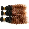 Dunkelwurzeliges kastanienbraunes Haarbündel, tiefes lockiges Haar, 3 Stück, Lot #1B/30, zweifarbiges Haarprodukt für schwarze Frauen