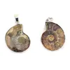 10pcs / lot exotique main ammonite naturelle conque coquille pierre pendentif perle exquise mode marron escargot agate pendentif pour mariage hommes femmes