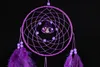 Purple Lovely Dream Catcher med fjädrar Dreamcatcher Wall Hanging Car Home Decor gåva 6 slag att välja 6060205