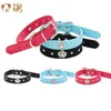 crown dog collar