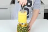 2023 Gratis frakt Hot Sale rostfritt stål frukt ananas corer skivor skalare parer cutter kök enkelt verktyg