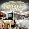 قاد 100M ضوء الشريط 60LED مرنة 110V / 220V مصلحة الارصاد الجوية للماء 3528 5050 chiristmas حبل الهواء الطلق ضوء أدى عيد الميلاد ضوء تزيين